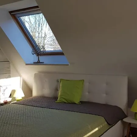 Apartment Am Park *